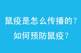 鼠疫是怎么傳播的？如何預(yù)防鼠疫？